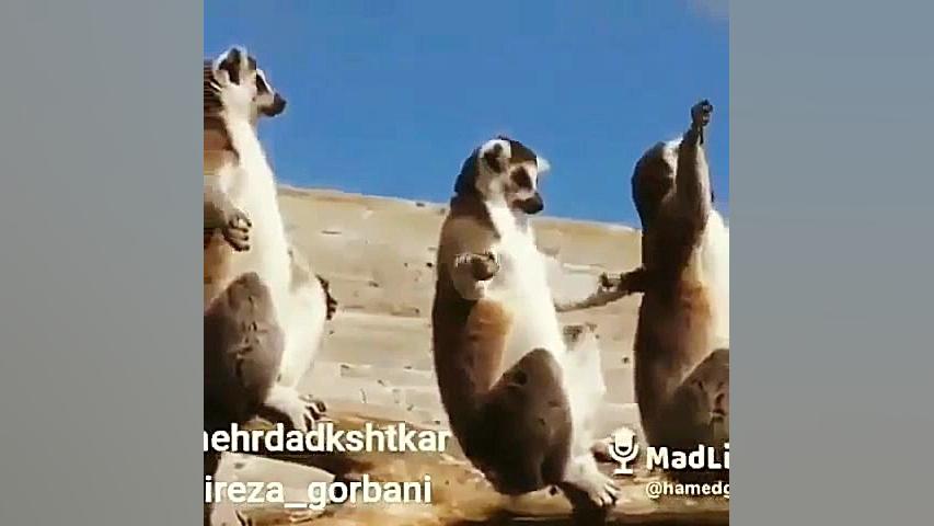 دعای شش سال دولت تدبیر