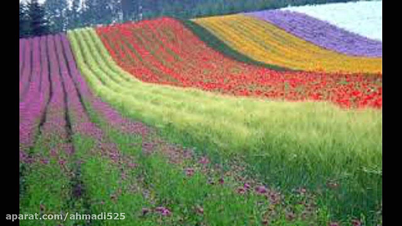 موسیقی محلی بختیاری حوری نی نو...