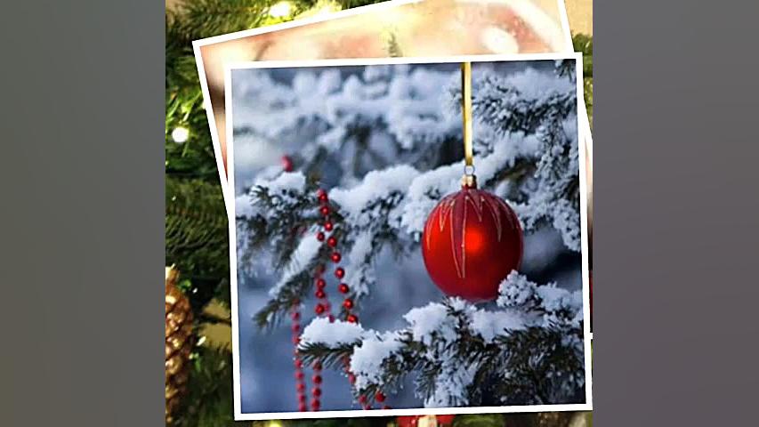 کریسمس مبارک، فاضل نظری، خوانش...