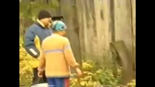 پاندای کنگ فوکار