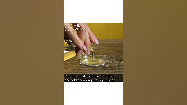 ساخت درخت کریسمس