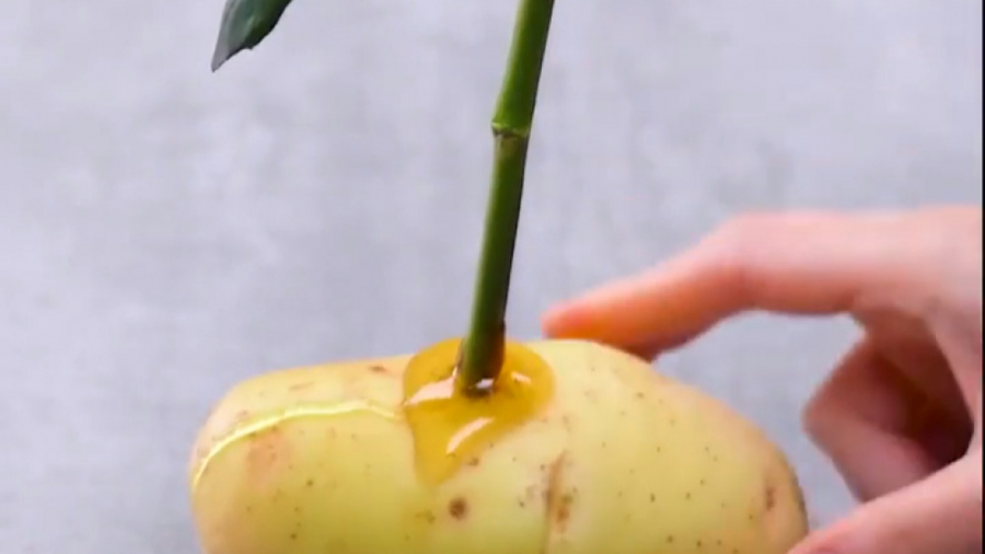 خلاقیت و ابتکار خیلی ساده