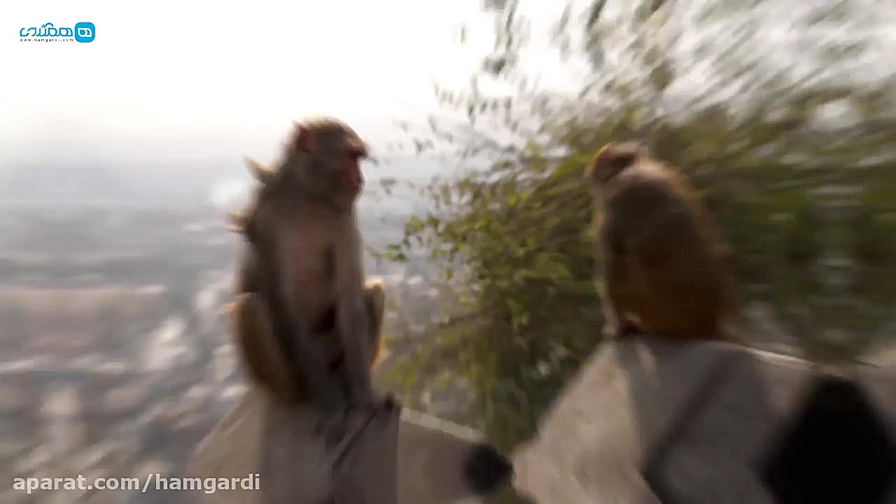 نپال، سرزمین عجایب و شگفتی