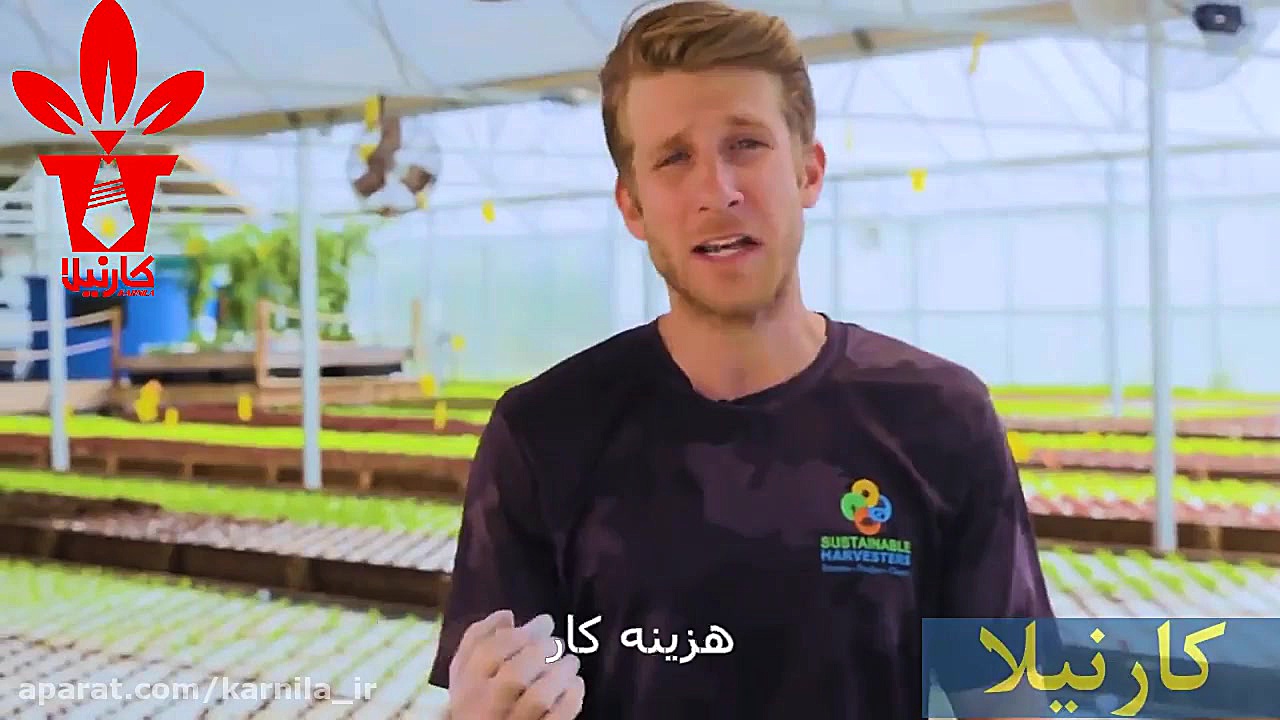 گلخانه آکواپونیک (پرورش ماهی و...