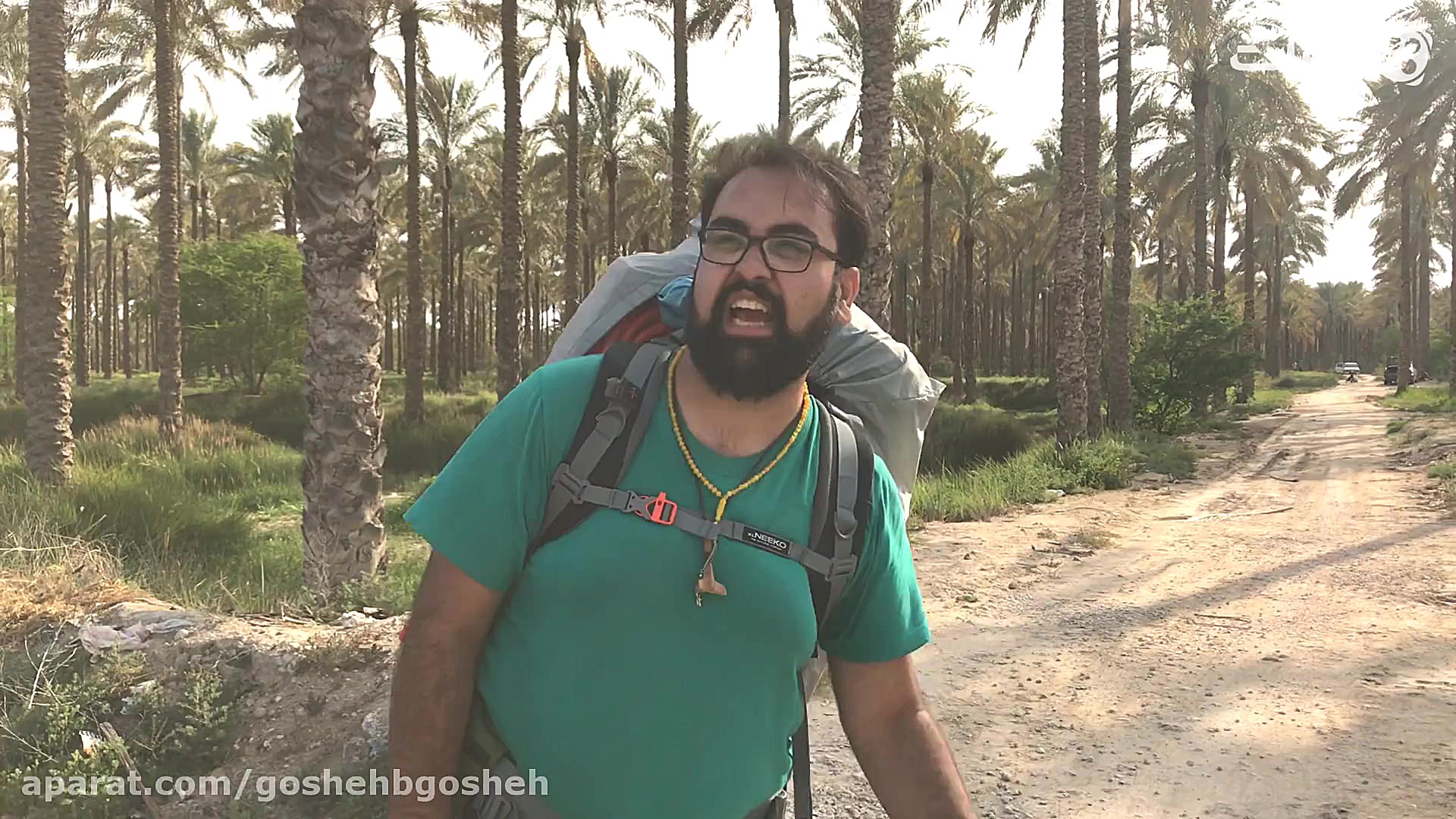 پشه ها خوردنمون