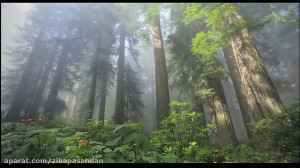 حافظ شیرازی  غزل شماره 100