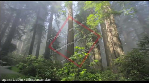 حافظ شیرازی  غزل شماره 175