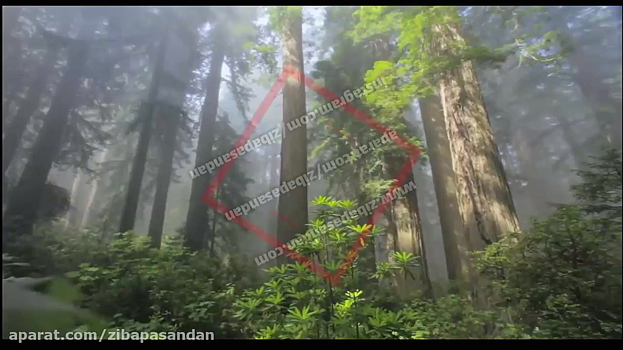 حافظ شیرازی  غزل شماره 173