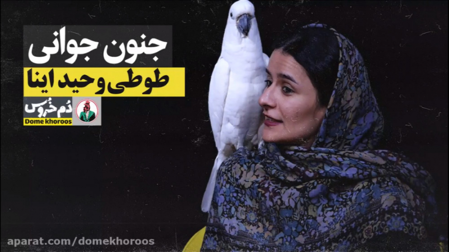 جنون جوانی . موضوع هفته: طوطی...