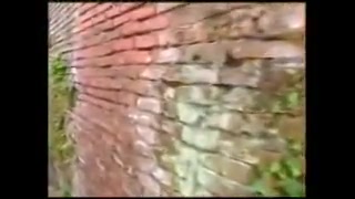 دکتر محمد معین 1