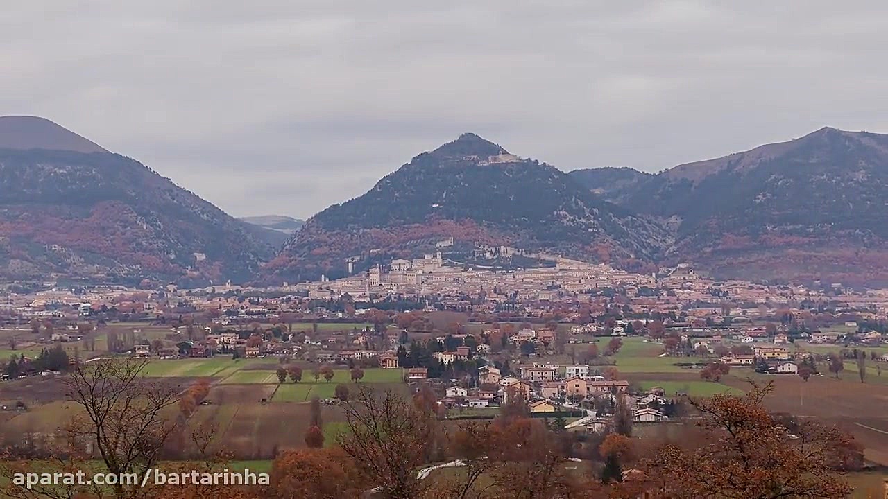 بزرگترین درخت کریسمس جهان در ا...