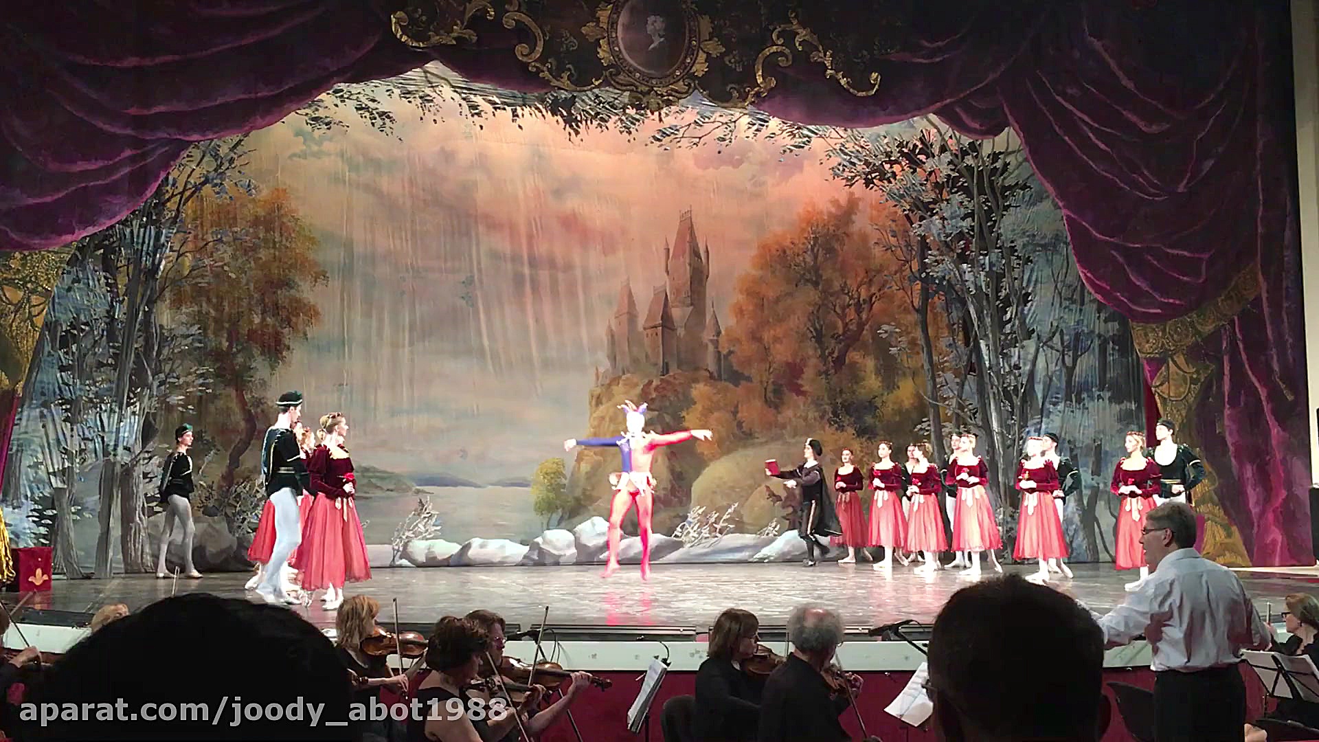 رقص باله دریاچه قو : خرید آنلا...