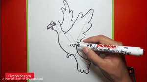 آموزش نقاشی کارتونی  کبوتر