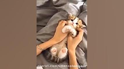 کلیپ فوق العاده جالب و خنده دا...