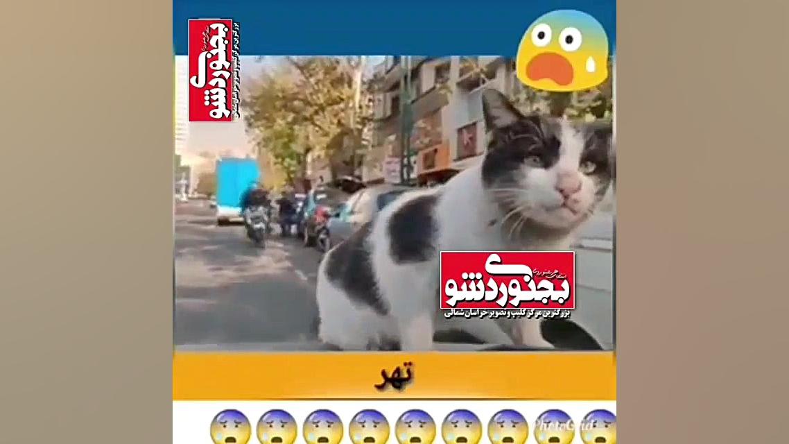 لحظه گوشی قاپی بجنوردی شو