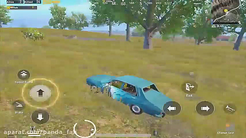 Panda 25 kill solo vs squad