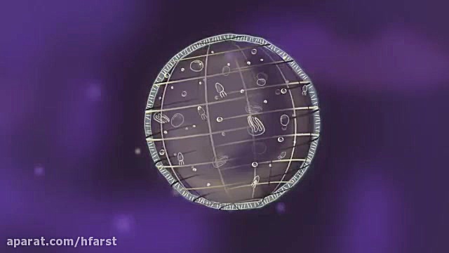 بزرگ ترین وعجیب ترین سلول تک ی...
