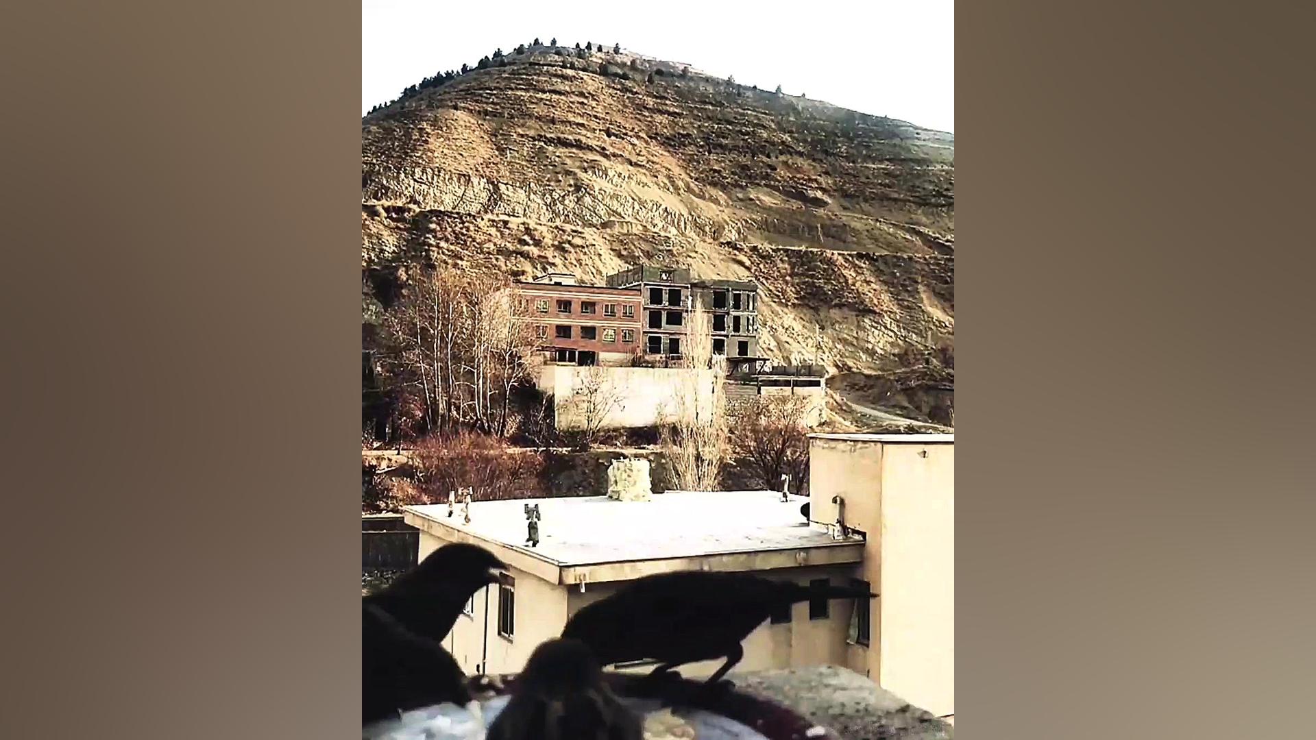 یه مِداد بده.. علی سنتوری محمد...