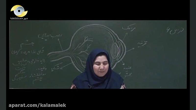 علوم پنجم دبستان kalamalek.ir
