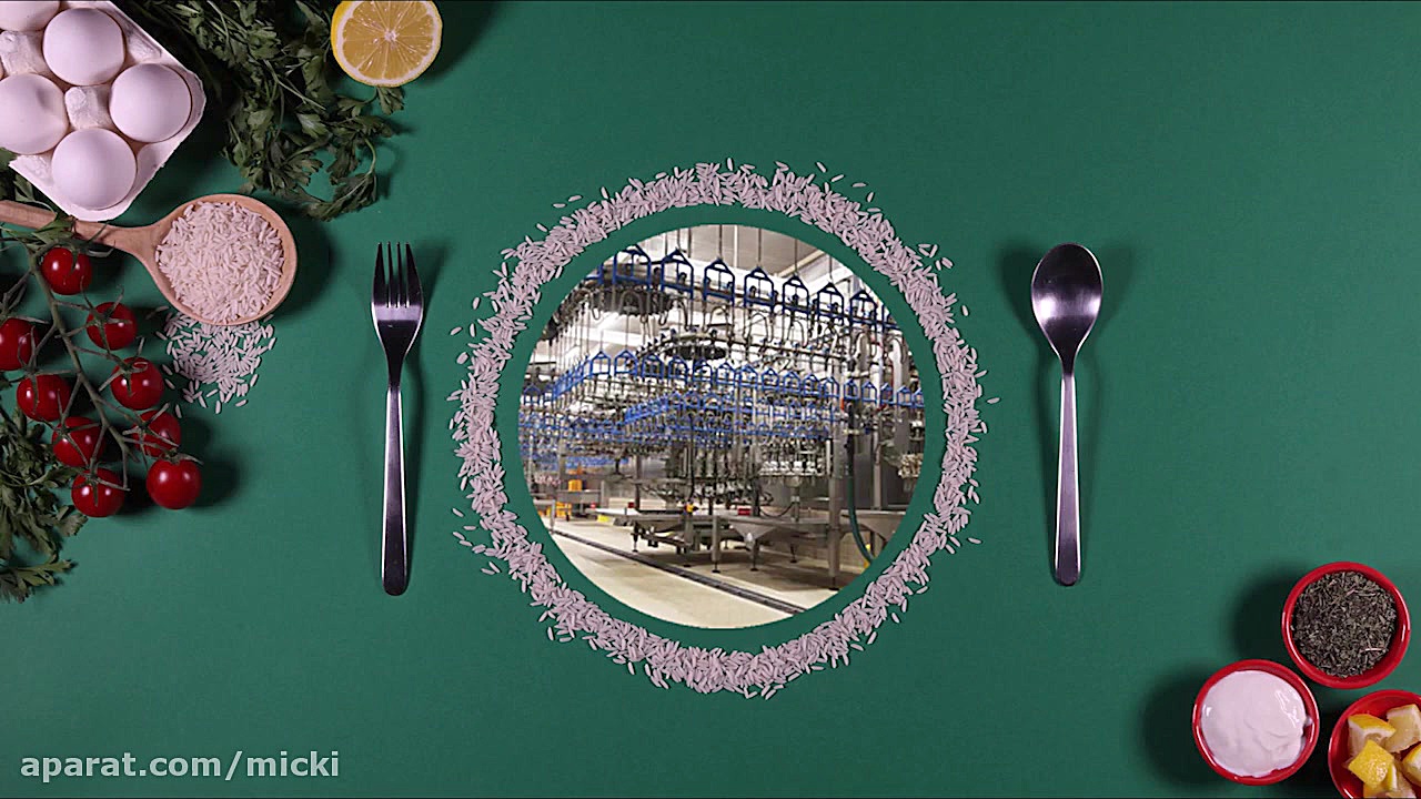 استاپ موشن آرتا پروتئین