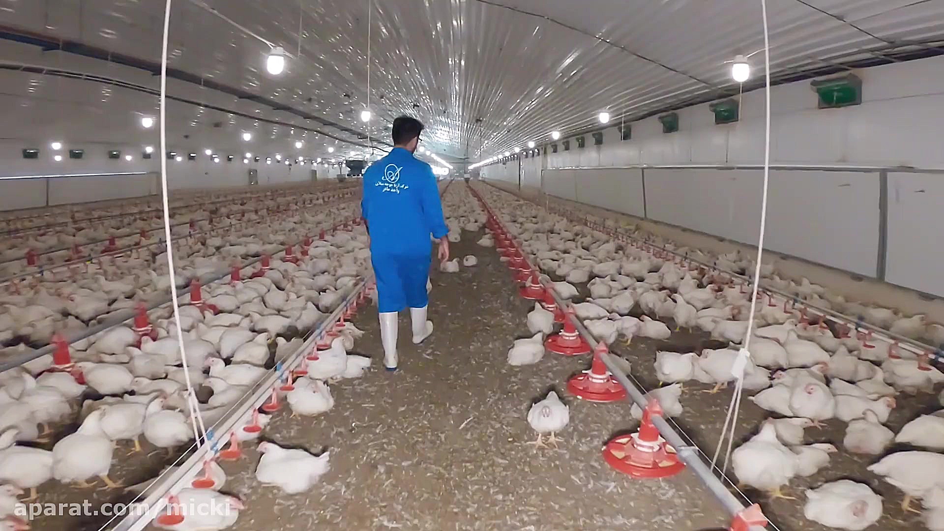 تیزر تبلیغاتی آرتا پروتئین