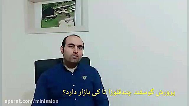 پرورش گوسفند چندقلوزا تا کی با...