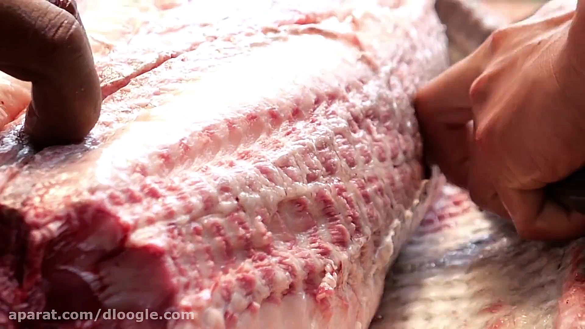 جاذبه های غذایی  ماهی سرخ شده...