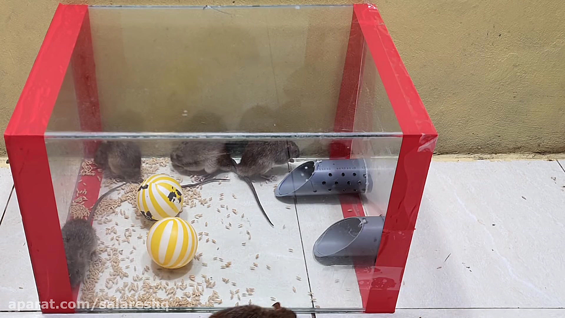 آموزش ساخت یک تله موش باحال خا...
