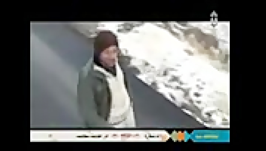 بابک حمیدیان