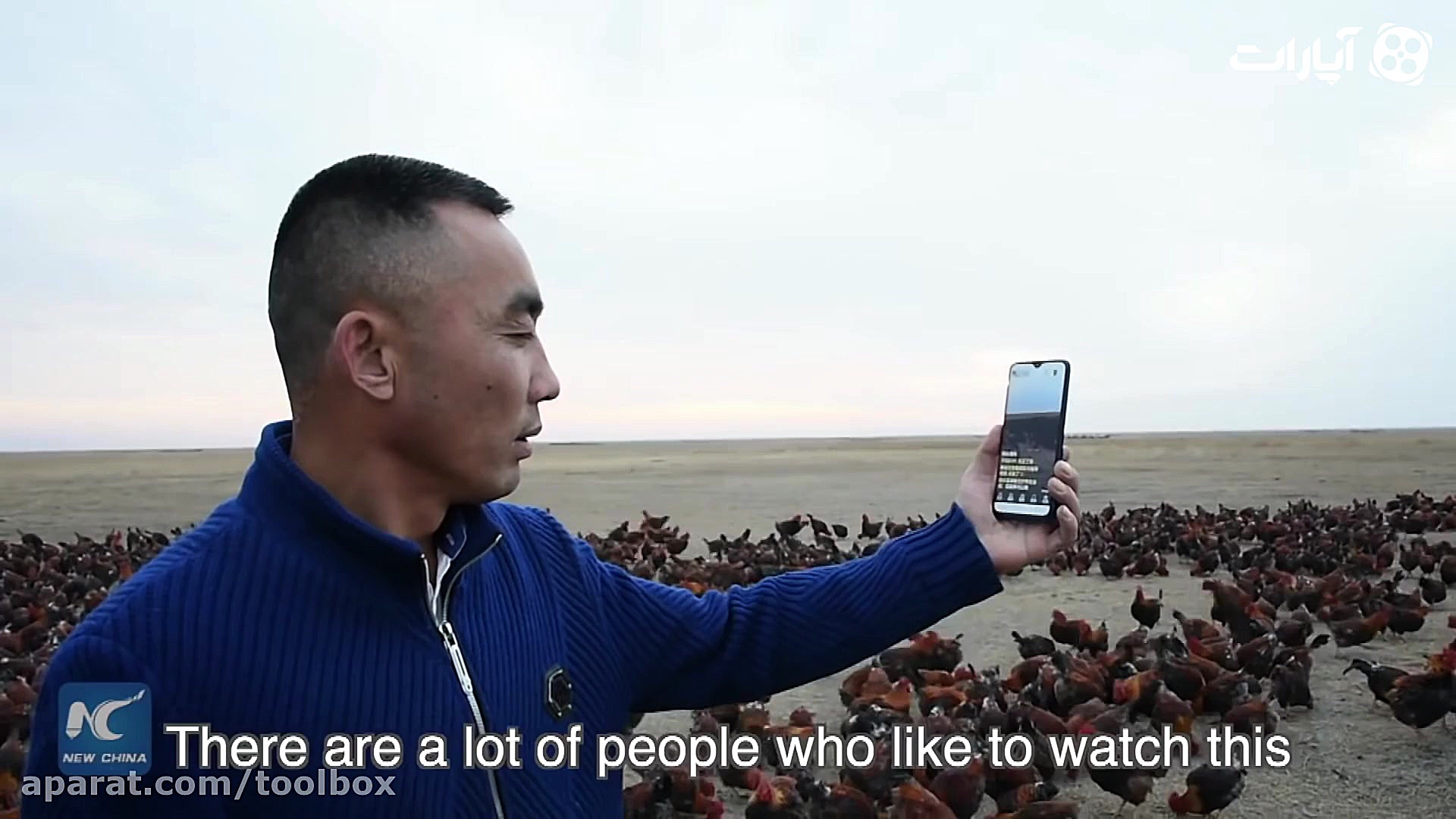 جوجه هایی که مرد چینی را معروف...