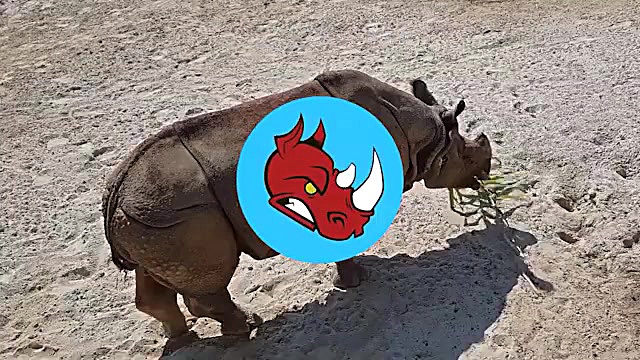 خودروی قاسم سلیمانی بعد از برخ...