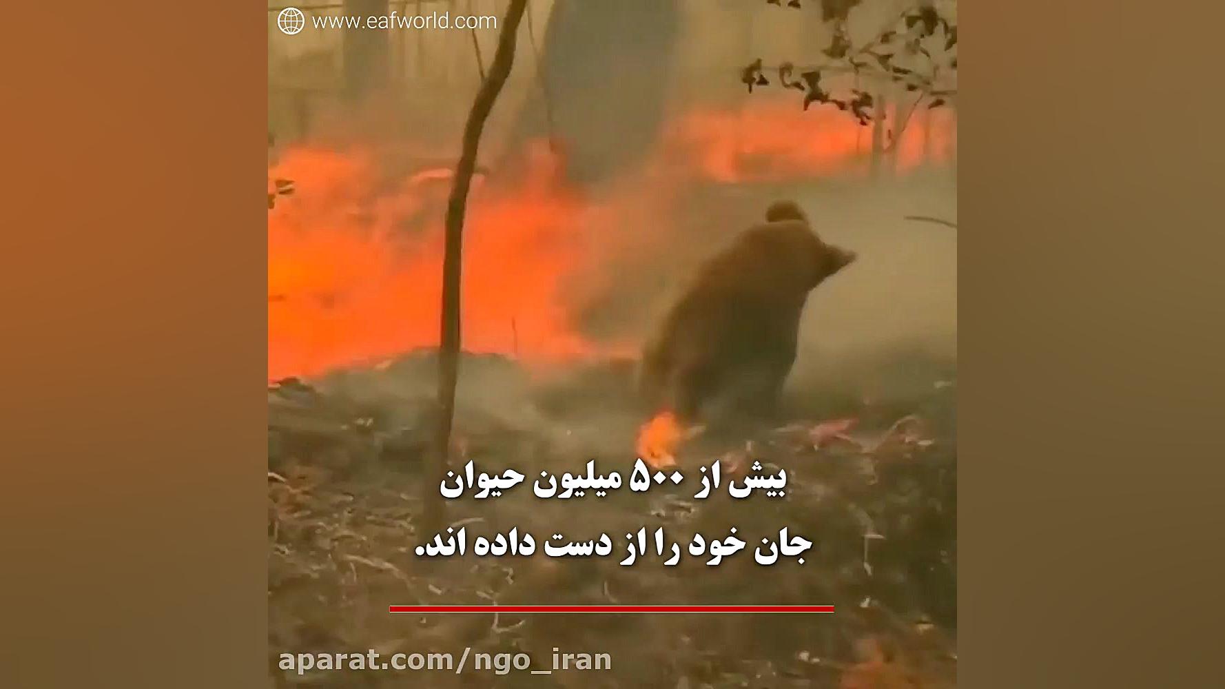 آتش سوزی در استرالیا و 500 میل...