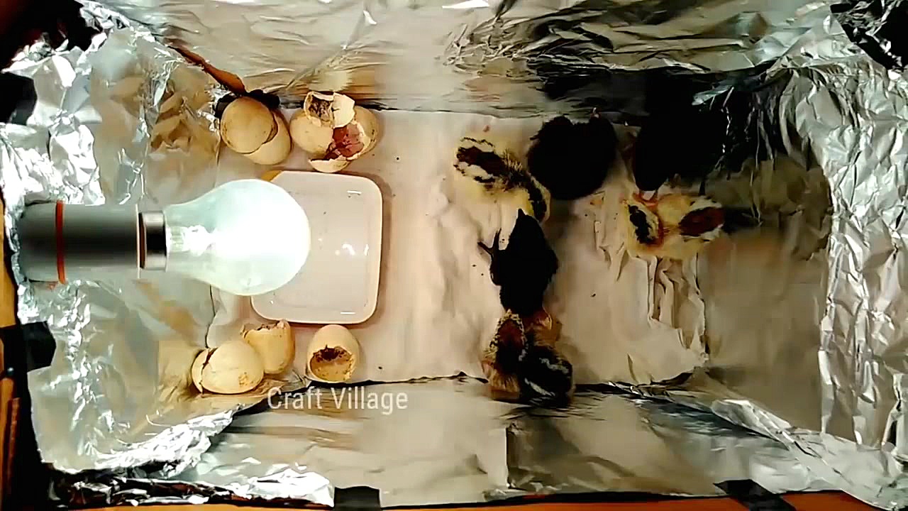 اموزش ساخت ماشین جوجه کشی با ک...