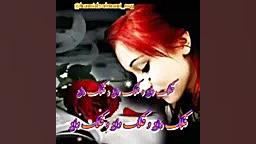 فلک از کودکی غم را به من داد