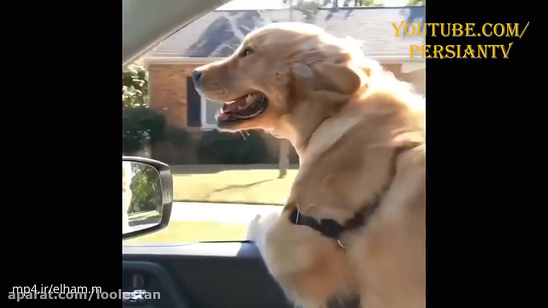 پر بازدید ترین ویدیو های یوتیو...