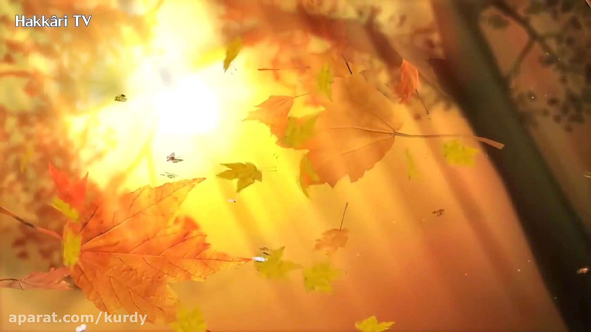 آهنگ کردی زیبا و دلنشین عاشقان...