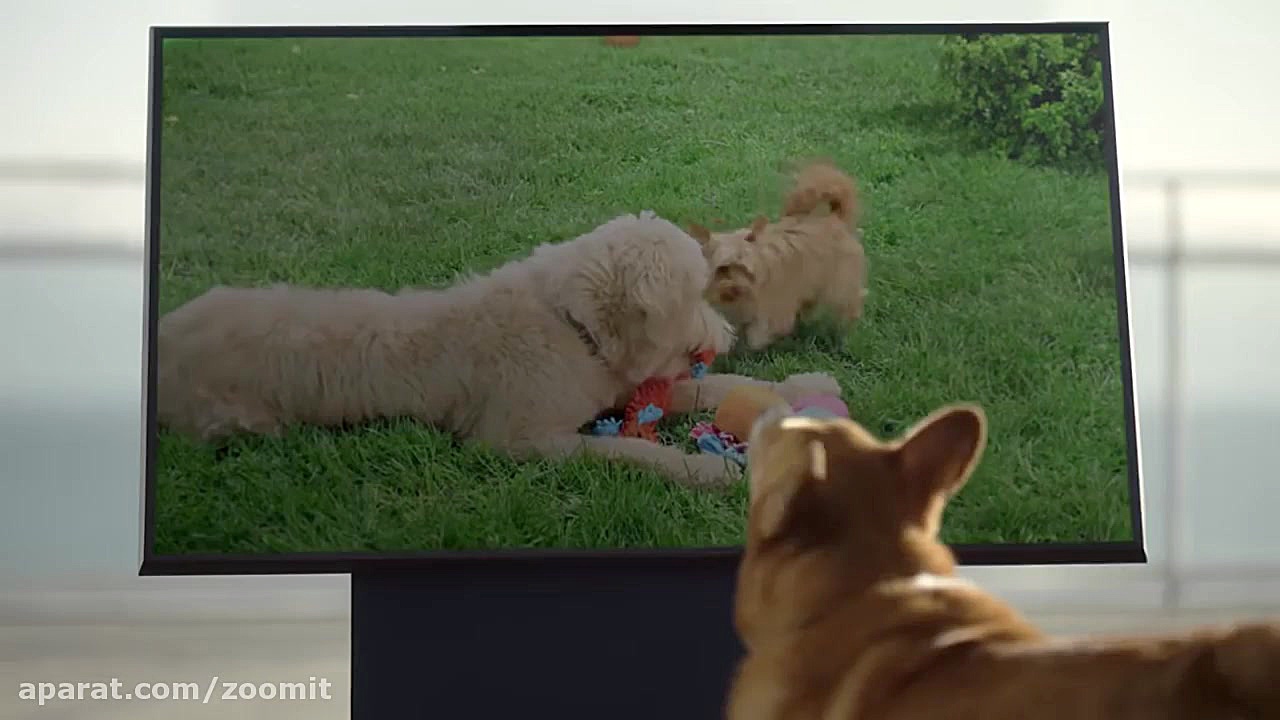 ربات هوشمند Ballie سامسونگ