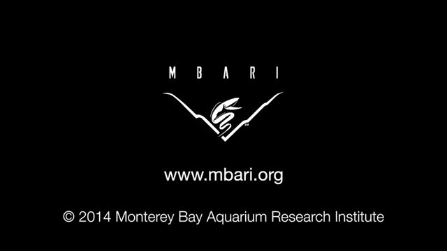 زشت ترین ماهی اعماق اقیانوس  د...