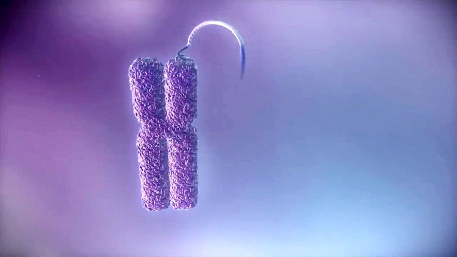 از دی ان آ تا پروتئین