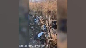 ویدئوی از محل سانحه هواپیمای ا...