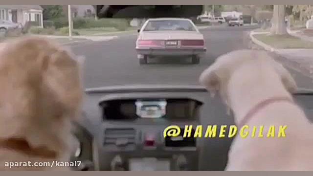 کلیپ طنز حامد گیلک قسمت 71  دا...