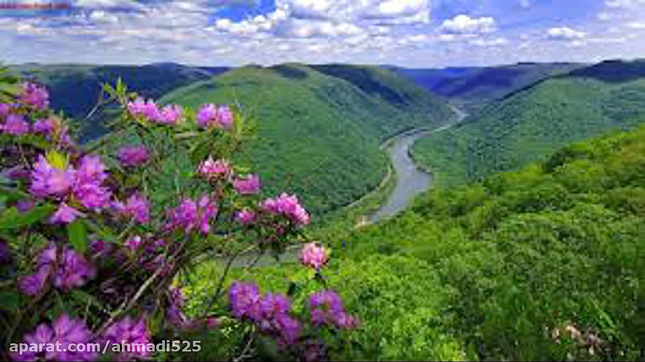 غزل 242 حافظ صبا ز منزل جانان...