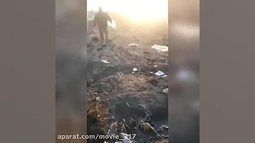 فیلمی کوتاه از محل سقوط هواپیم...