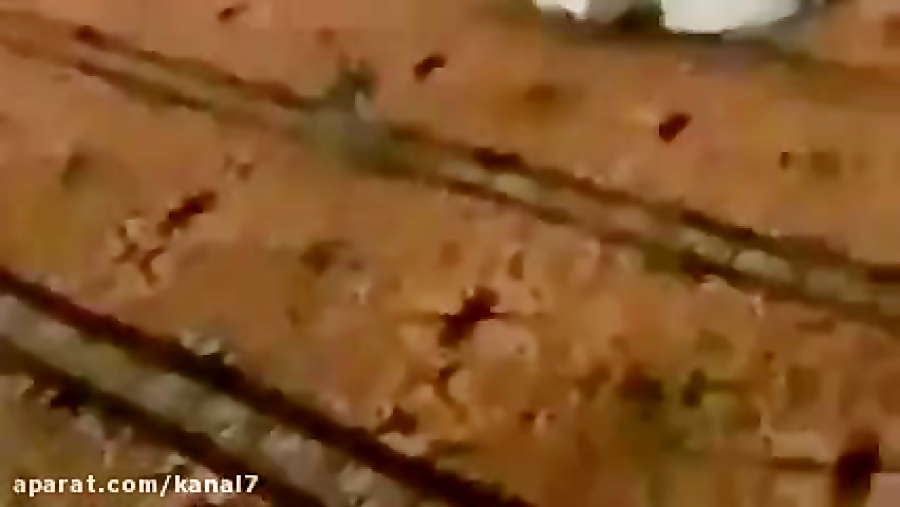 کلیپ طنز حامد گیلک قسمت 116  د...