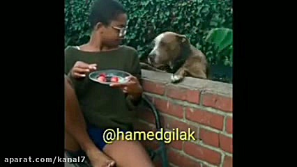 کلیپ طنز حامد گیلک قسمت 123  د...