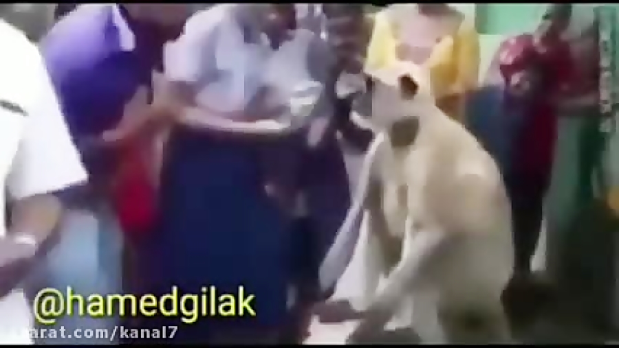 کلیپ طنز حامد گیلک قسمت 122  د...