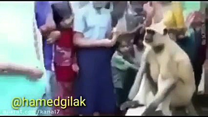 کلیپ طنز حامد گیلک قسمت 122  د...