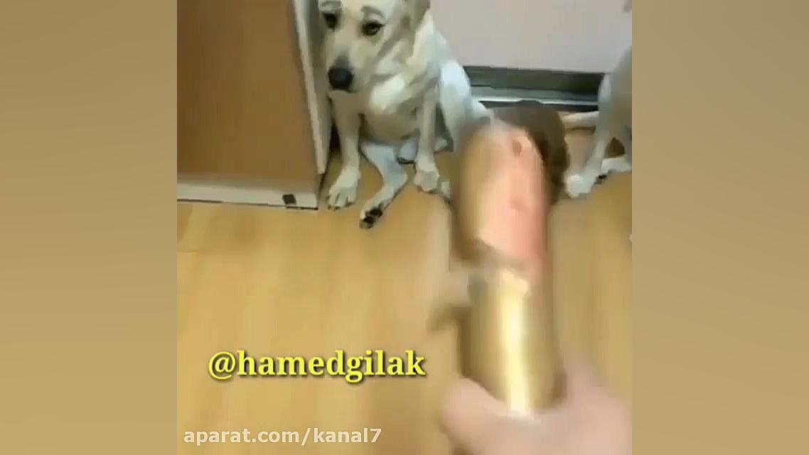 کلیپ طنز حامد گیلک قسمت 127  د...