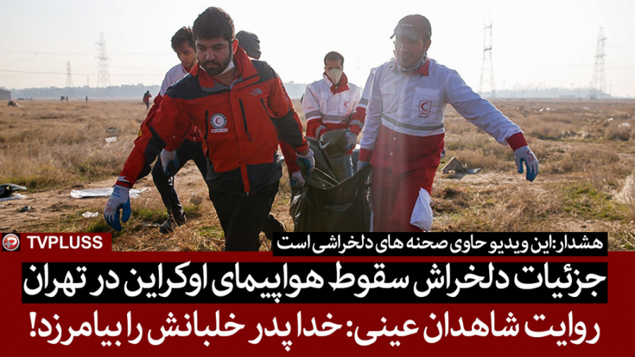 جزئیات دلخراش سقوط هواپیمای او...