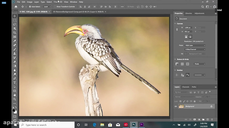هوش مصنوعی جدید ادوبی ویدیوهای...